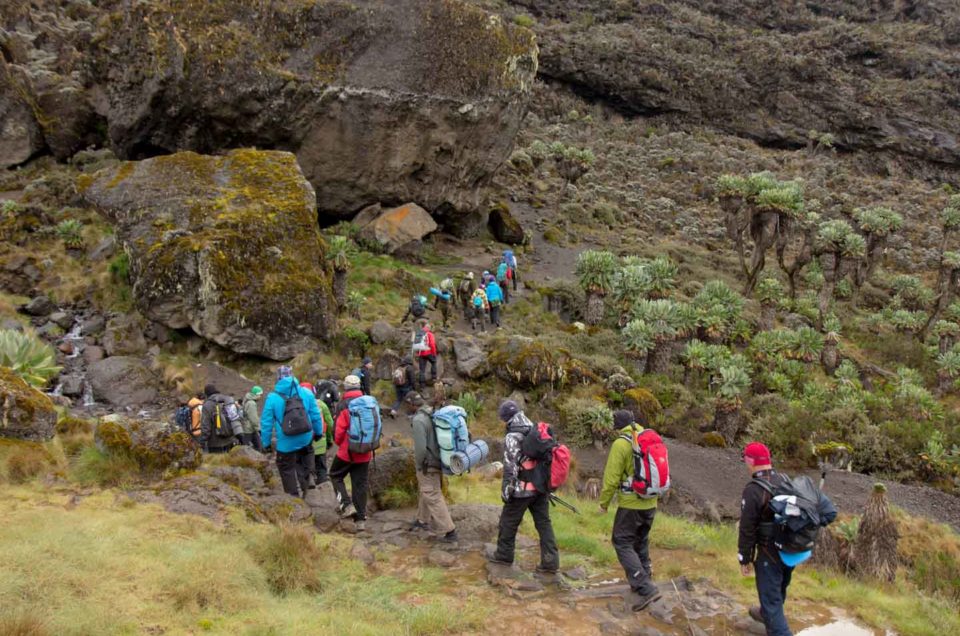 Tips for Kilimanjaro Climb