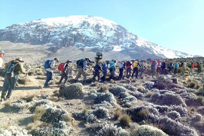 6 Days Machame Route